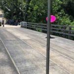 20200826-PAGEONE-NEW-BRIDGE.jpg