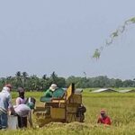 20200827-PAGEONE-rice-farmers-in-Bago-City.jpg