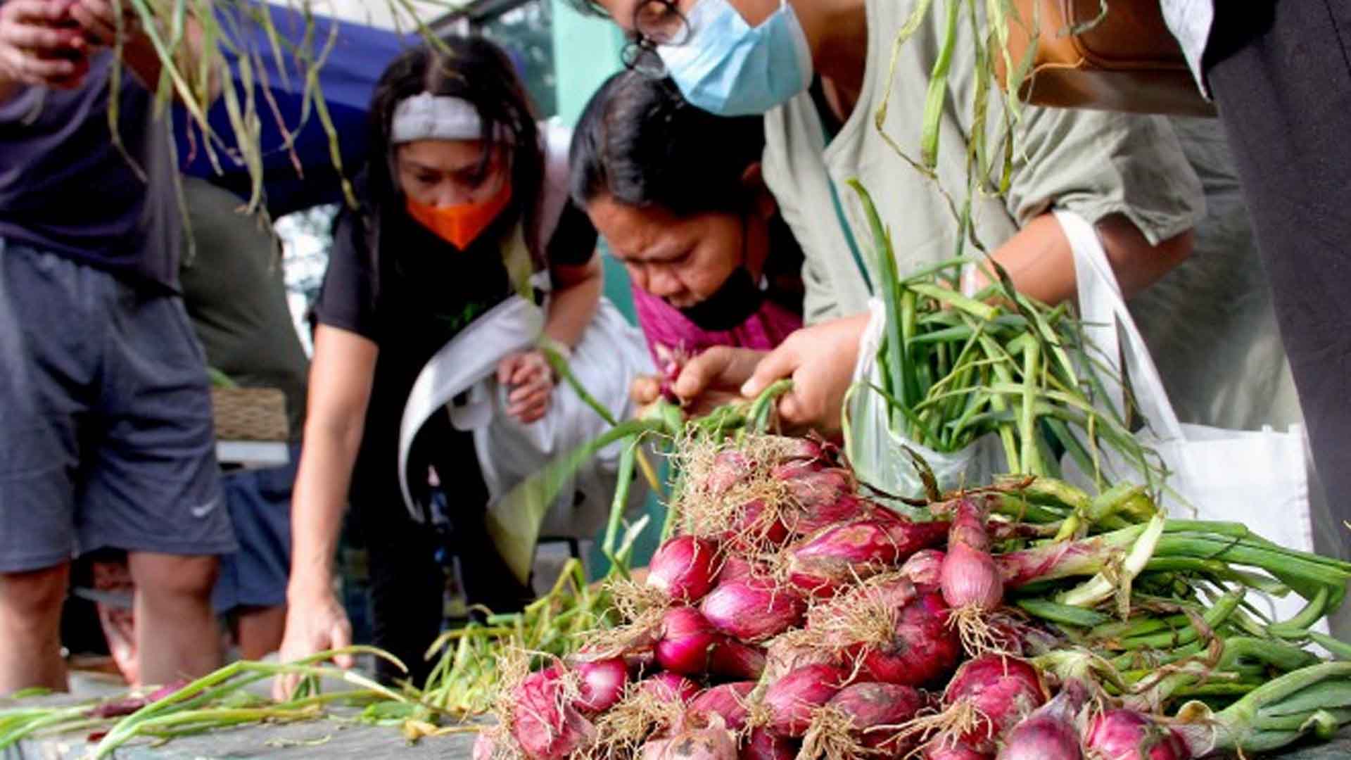 20230116-PAGEONE-Onions.jpg