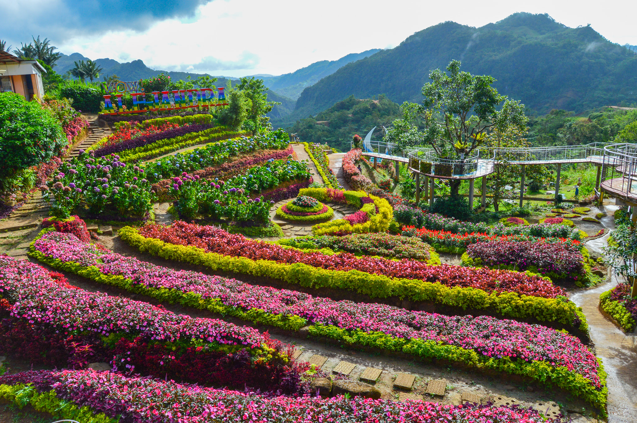 5 Local Instagrammable Flower Farms And