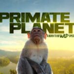 20230321 PAGEONE Born to be Wild’s ‘Primate Planet’